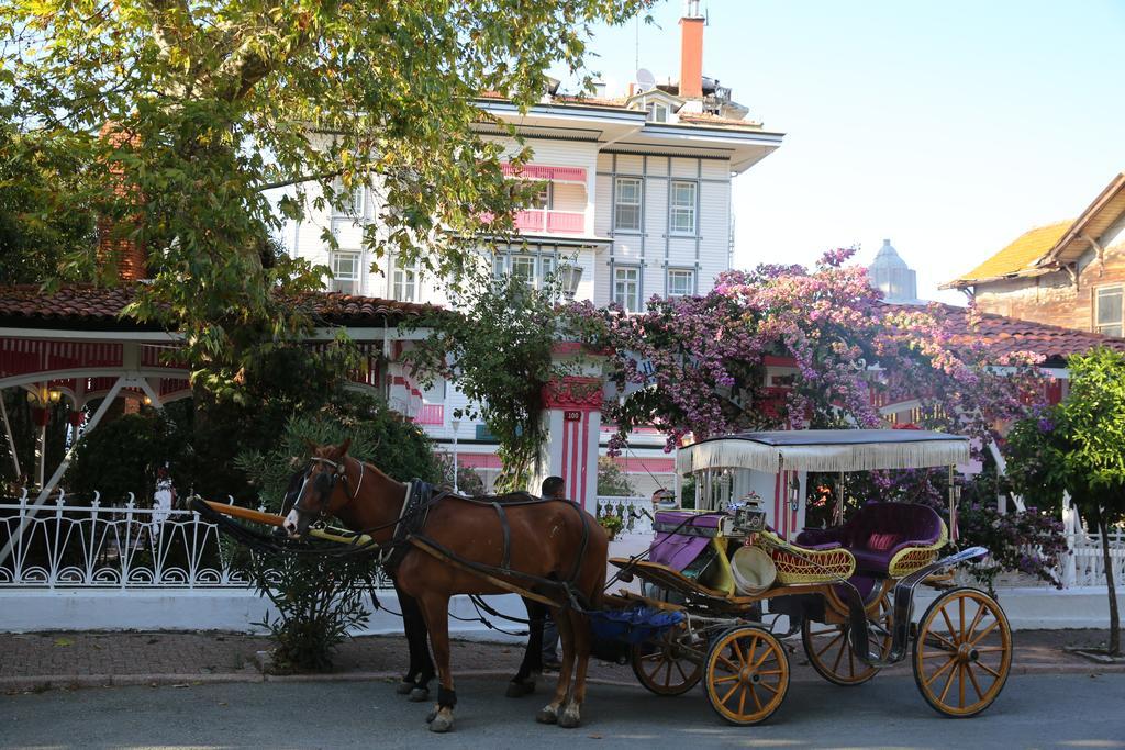 Merit Halki Palace Hotel هيبيليادا المظهر الخارجي الصورة